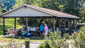 2016 Trinity Picnic